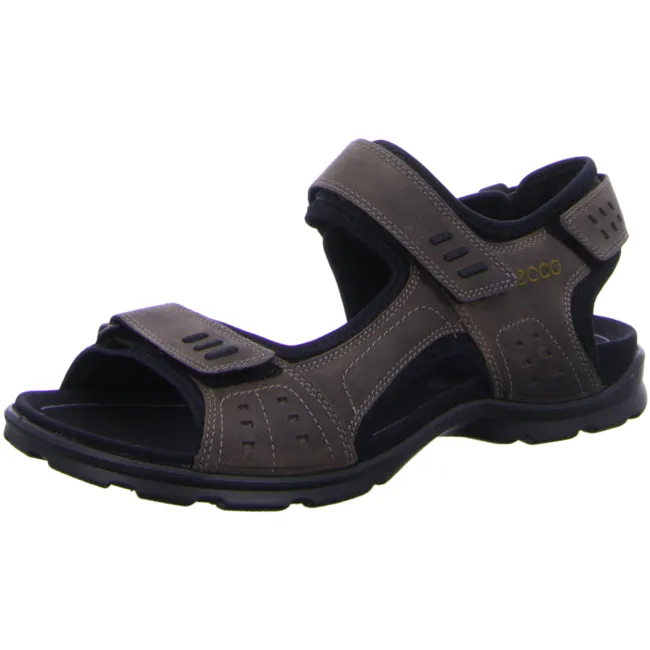 Ecco trekking sandals for men brown