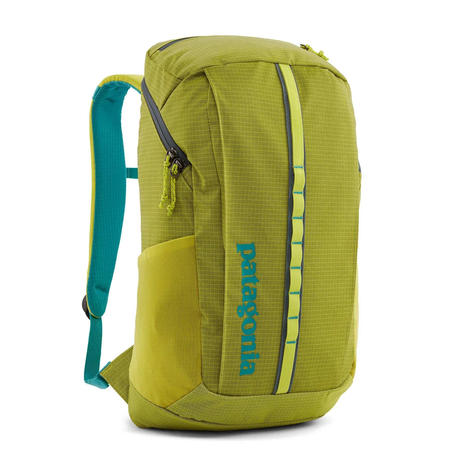 Patagonia Black Hole Pack 25L - Last Season's | Daypacks | BananaFingers