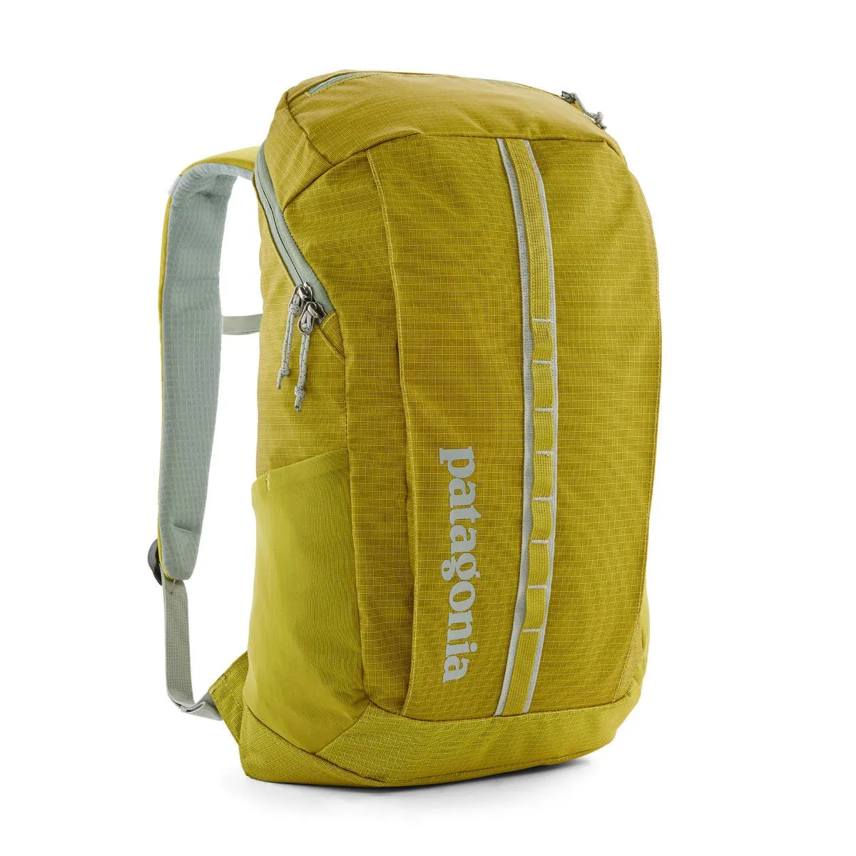 Patagonia Black Hole Pack 25L - Last Season's | Daypacks | BananaFingers